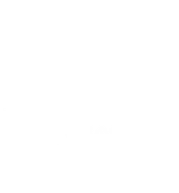 Team Anant (Student Satellite Team) logo